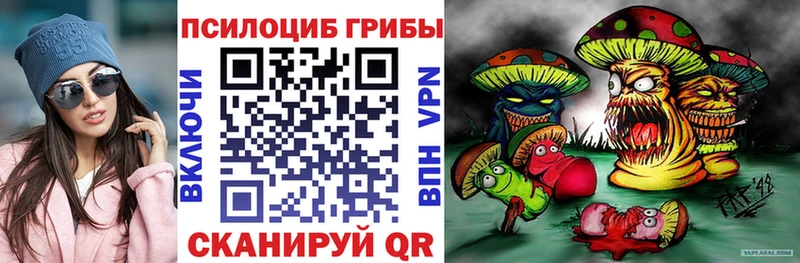 Галлюциногенные грибы MAGIC MUSHROOMS Купить закладки Кувшиново